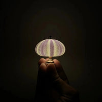 Zeekomkommer Nachtlamp - Lamp - Sfeervolle Verlichting