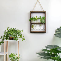 Planten Fotolijst | Elegante Vermeerderingsontwerp