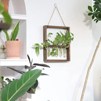 Planten Fotolijst | Elegante Vermeerderingsontwerp