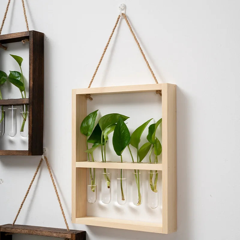 Planten Fotolijst | Elegante Vermeerderingsontwerp