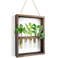 Planten Fotolijst | Elegante Vermeerderingsontwerp