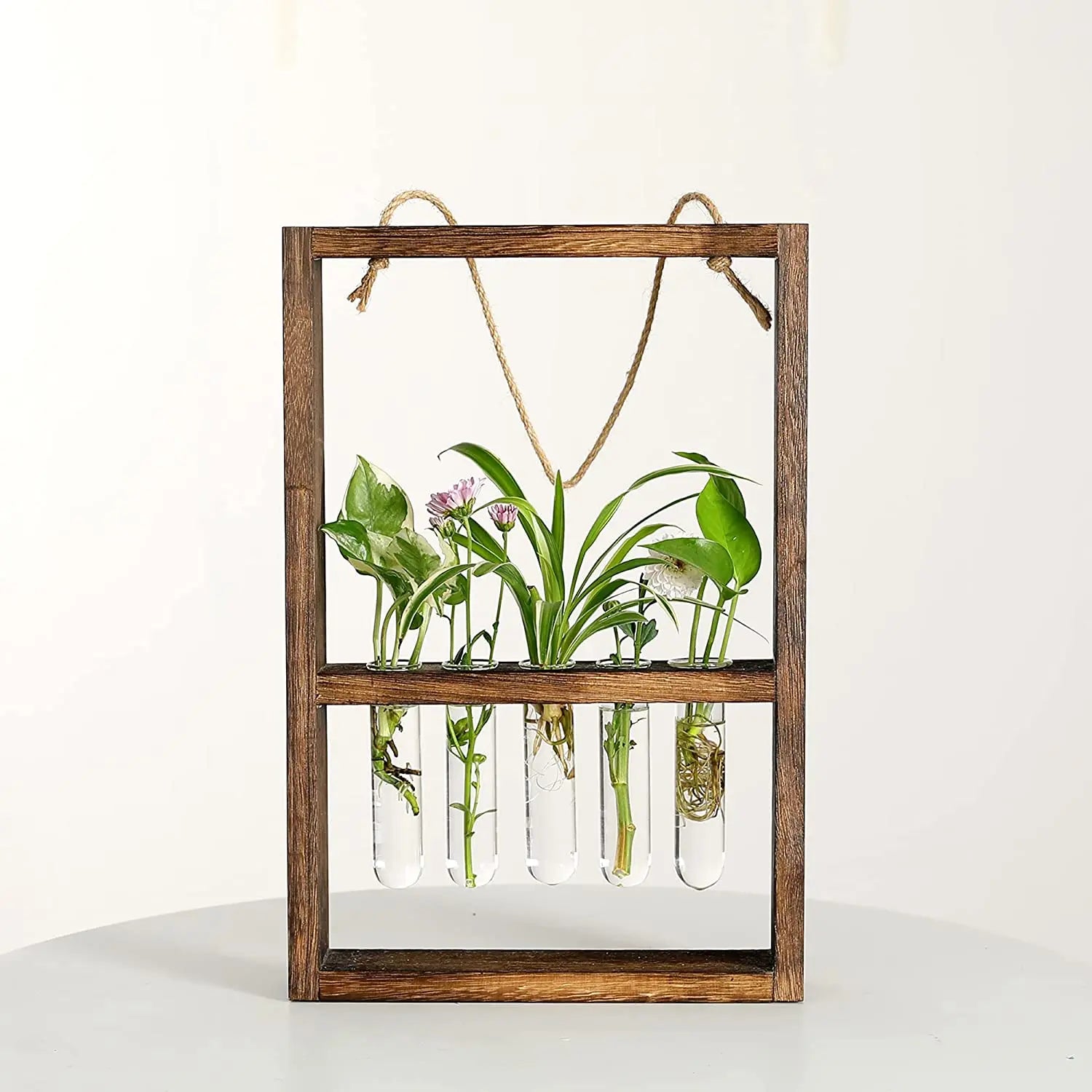 Planten Fotolijst | Elegante Vermeerderingsontwerp