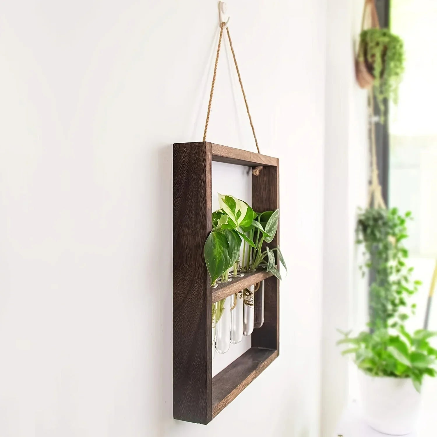 Planten Fotolijst | Elegante Vermeerderingsontwerp