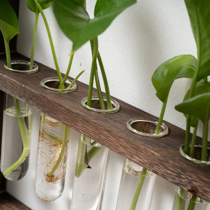 Planten Fotolijst | Elegante Vermeerderingsontwerp