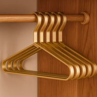 Alloy Slimline Kledinghangers