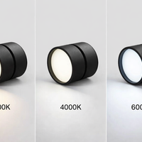 Moderne verstelbare LED plafondlamp