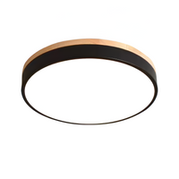 Nordic LED Ronde Plafondlamp van Acryl Minimalistisch