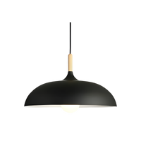 Noordse Stijl Houten IJzeren Kunst Hanglamp