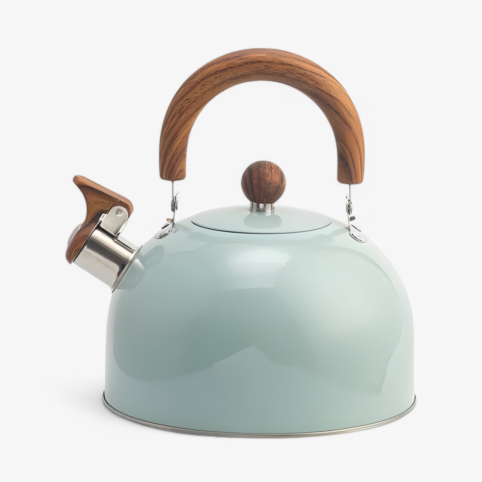 Thermora Kettle – Elegante fluitketel voor inductiekookplaten met een capaciteit van 2,5L en veiligheidsfuncties