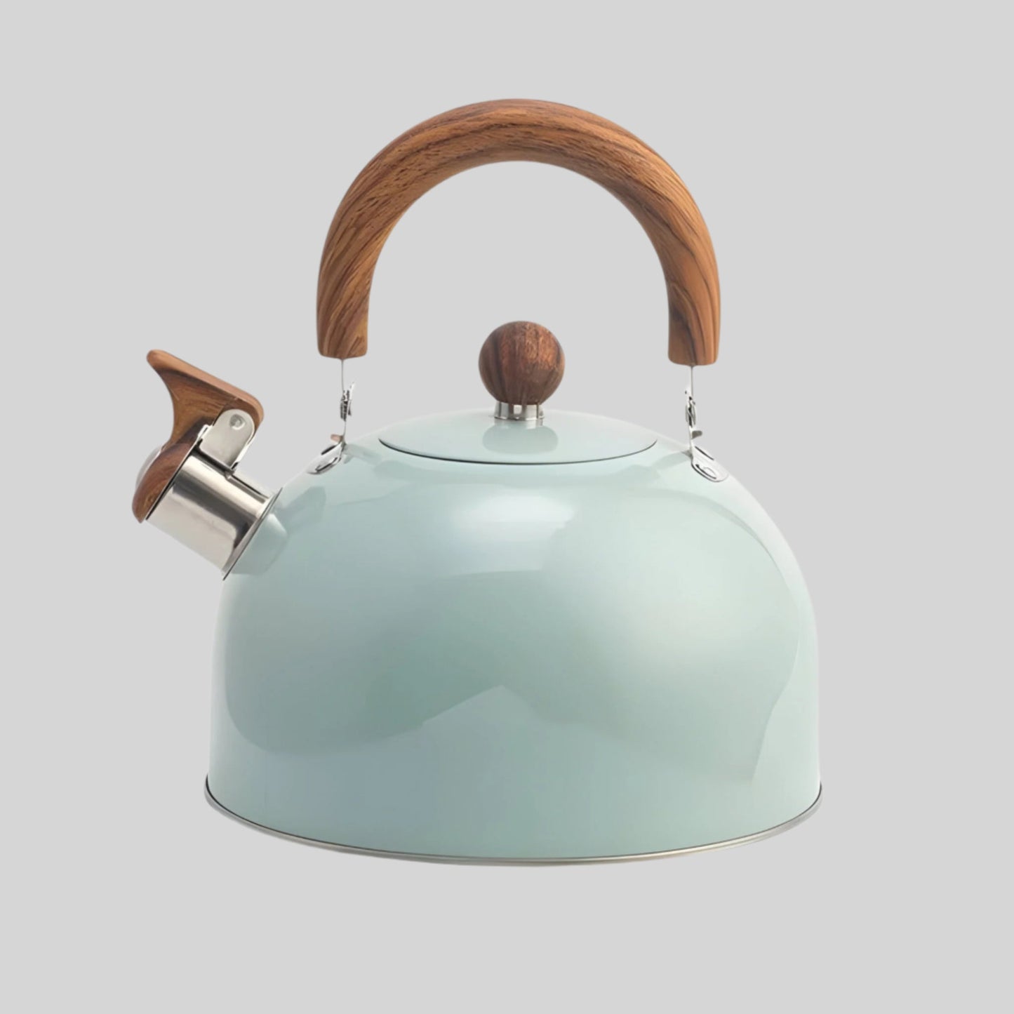 Thermora Kettle – Elegante fluitketel voor inductiekookplaten met een capaciteit van 2,5L en veiligheidsfuncties