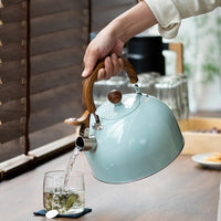 Verstelbare RVS Kettle | Met Fluitketel | 2,5L/3L