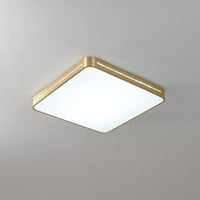 Eurcarara Plafondlamp Messing Modern Minimalistisch
