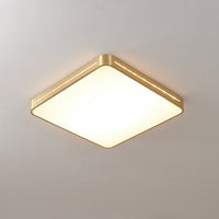 Eurcarara Plafondlamp Messing Modern Minimalistisch