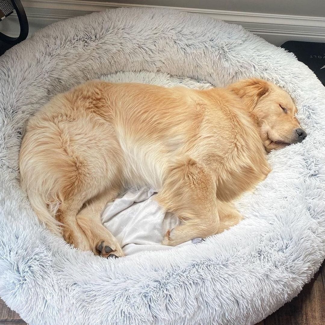 Fluffy Kalmerend Bed