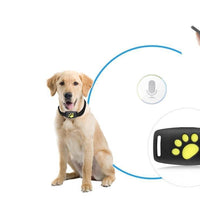 Kattenwachter Locatiesysteem – Echt-time Kattenlocatieapparaat Zonder Abonnement