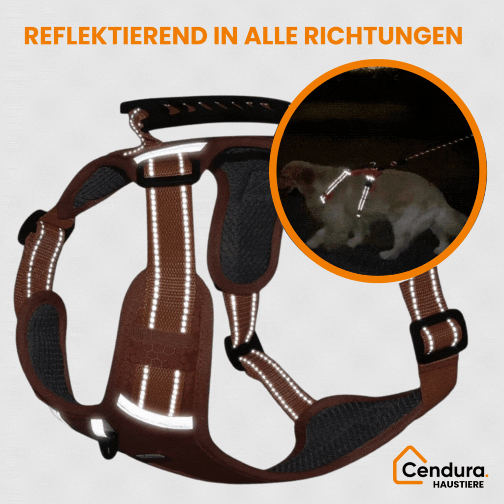 Hondentuig | Veiligheidstuig voor honden | Reflecterend tuig | HappyHund