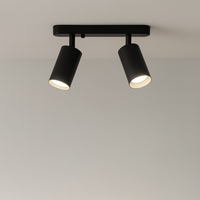 Verstelbare Dubbele Hoofdlamp voor aan het Plafond