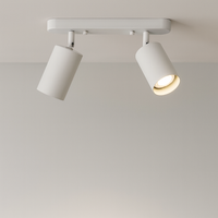 Verstelbare Dubbele Hoofdlamp voor aan het Plafond