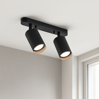 Verstelbare Dubbele Hoofdlamp voor aan het Plafond
