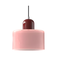 Nordic Iron Body Two-Tone Glass Pendant Light