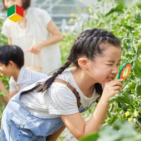 Insecten Verkenningsset voor Kinderen - Veilige Plastic met Vergrootglas en Terrarium
