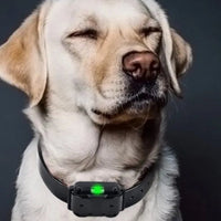 Waterdichte Elektrische Anti-Blaffhalsband voor Honden – Langbereik Afstandsbediening