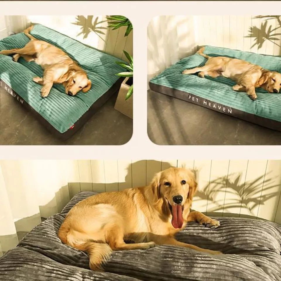 Orthopedisch Hondenbed Comfortabel | Bed met Ondersteunend Kussen voor Grote Honden met Antislip Basis