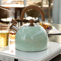 Thermora Kettle – Elegante fluitketel voor inductiekookplaten met een capaciteit van 2,5L en veiligheidsfuncties