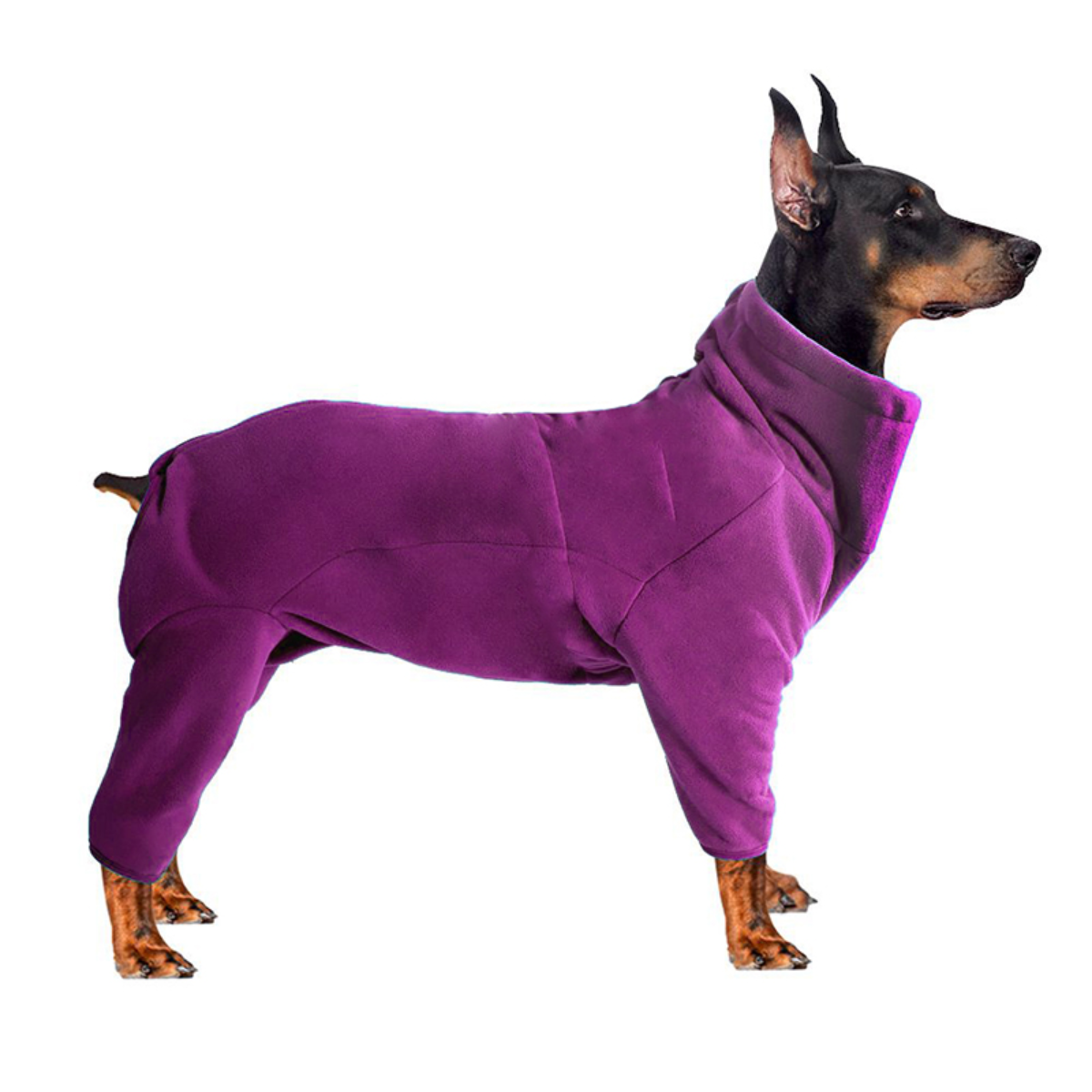 Winter Warme Hond Jas