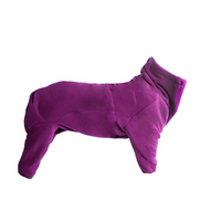 Winter Warme Hond Jas