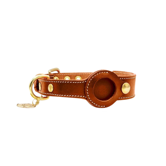 Halsband voor Honden met AirTag Houder | Real-Time GPS Tracking en Verstelbare Pasvorm voor Alle Rassen