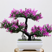 Bonsai Plant