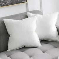 Europese Luxe Fluwelen Kussenhoes