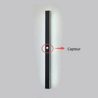 Elune Buiten Wandlamp LED Waterdicht Minimalistisch Metaal Tuin