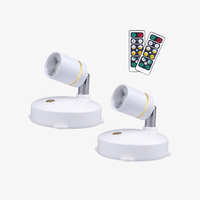 Viva - Projector lamp