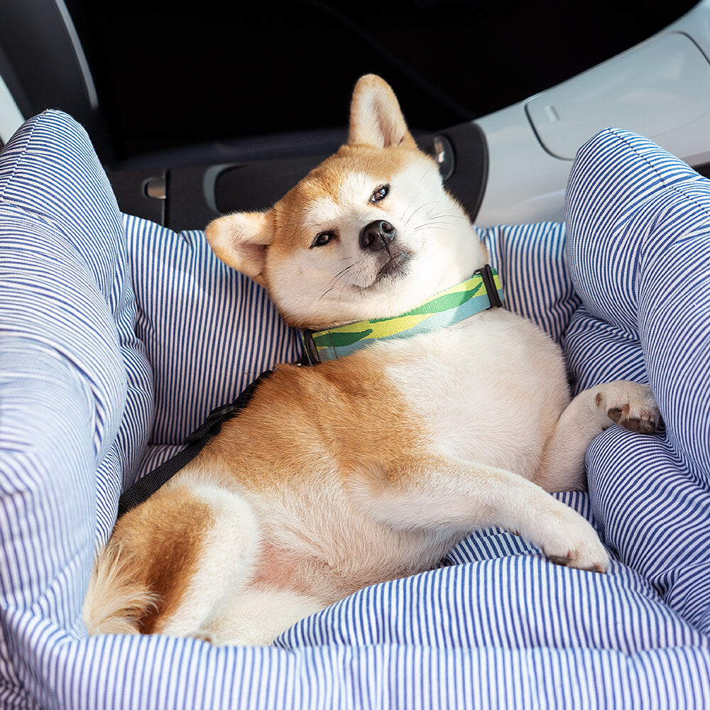 Comfortabele hondenmand voor de auto - TravelPaw