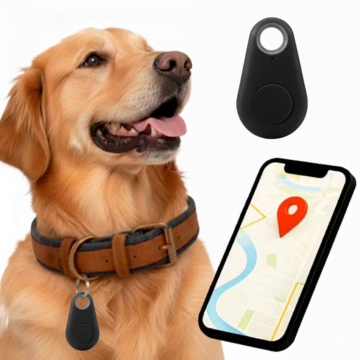 Kirra GPS Waterdichte Hondentracker Met Live Locatie-updates