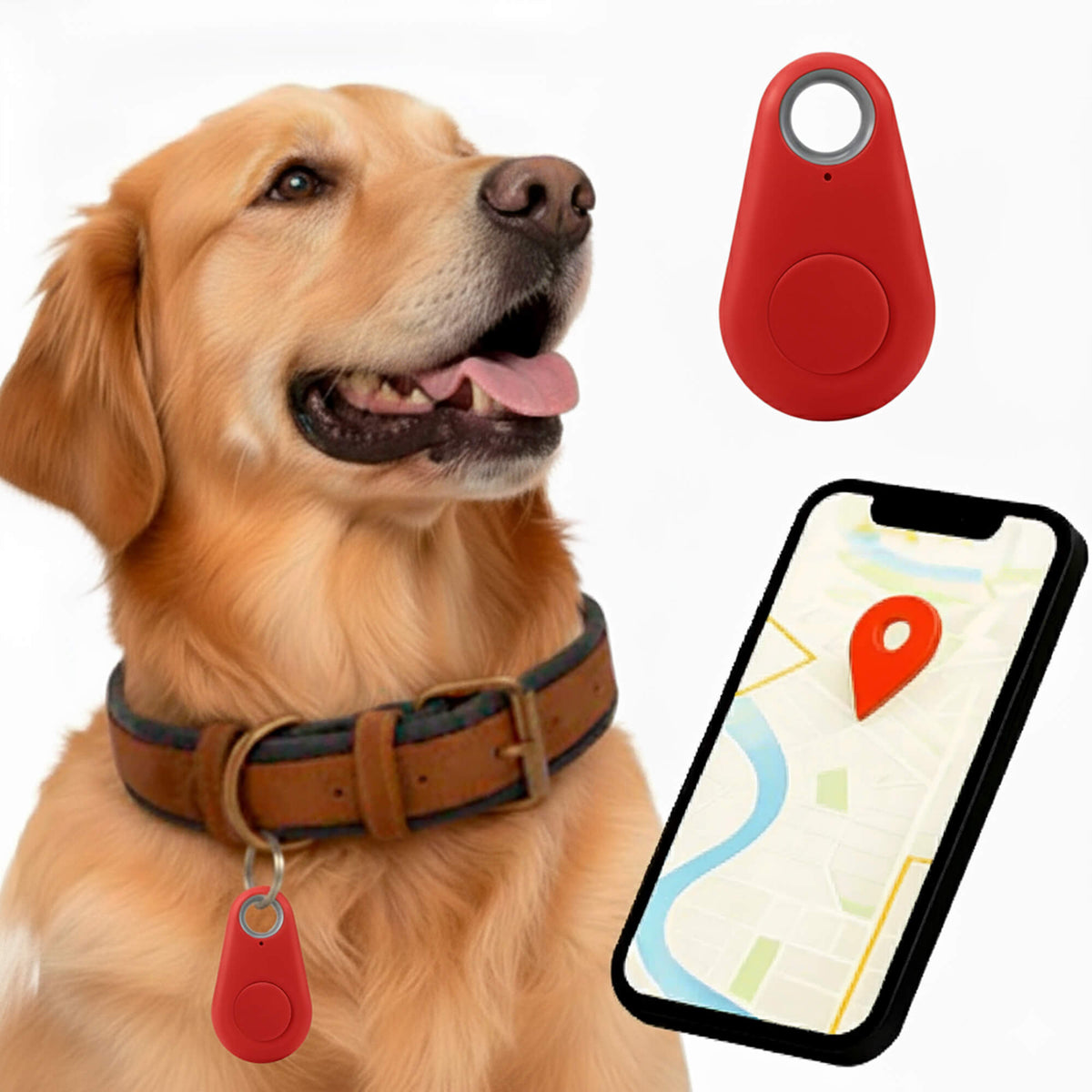 Kirra GPS Waterdichte Hondentracker Met Live Locatie-updates