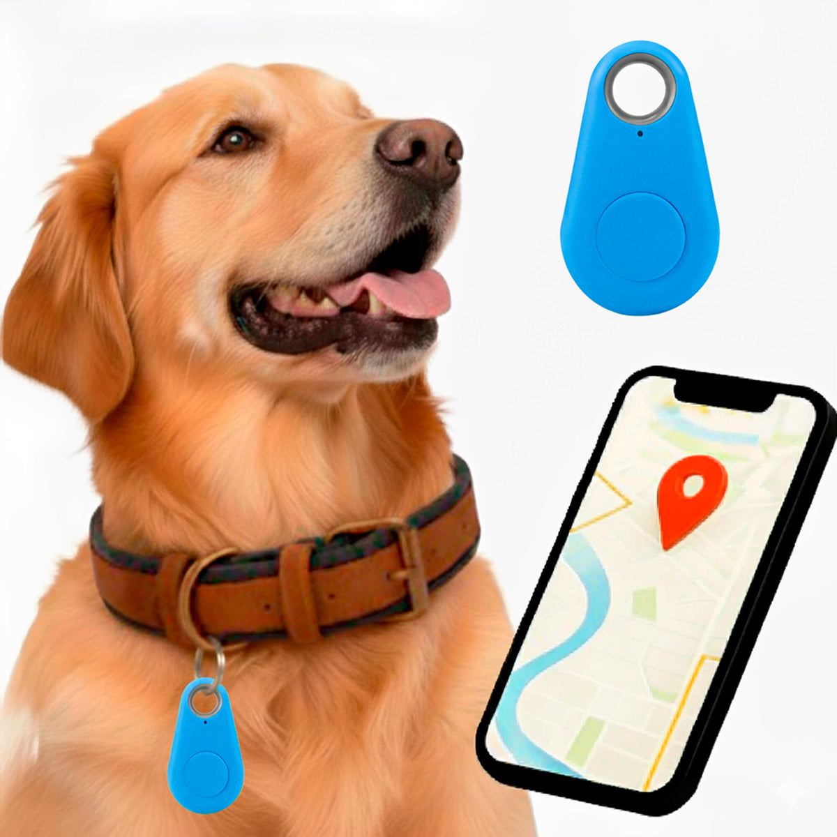 Kirra GPS Waterdichte Hondentracker Met Live Locatie-updates