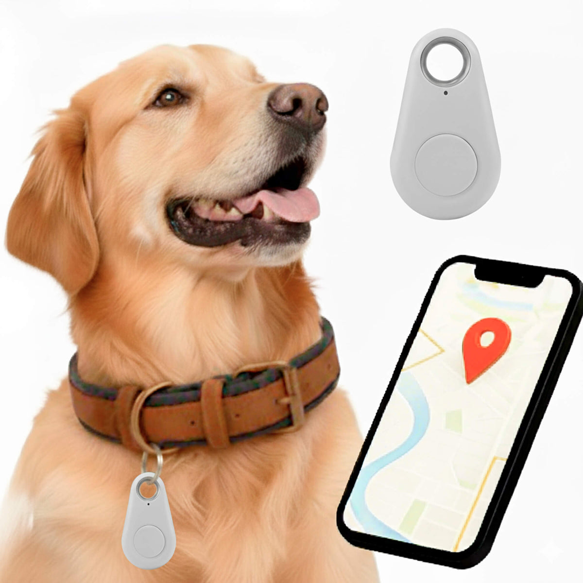 Kirra GPS Waterdichte Hondentracker Met Live Locatie-updates