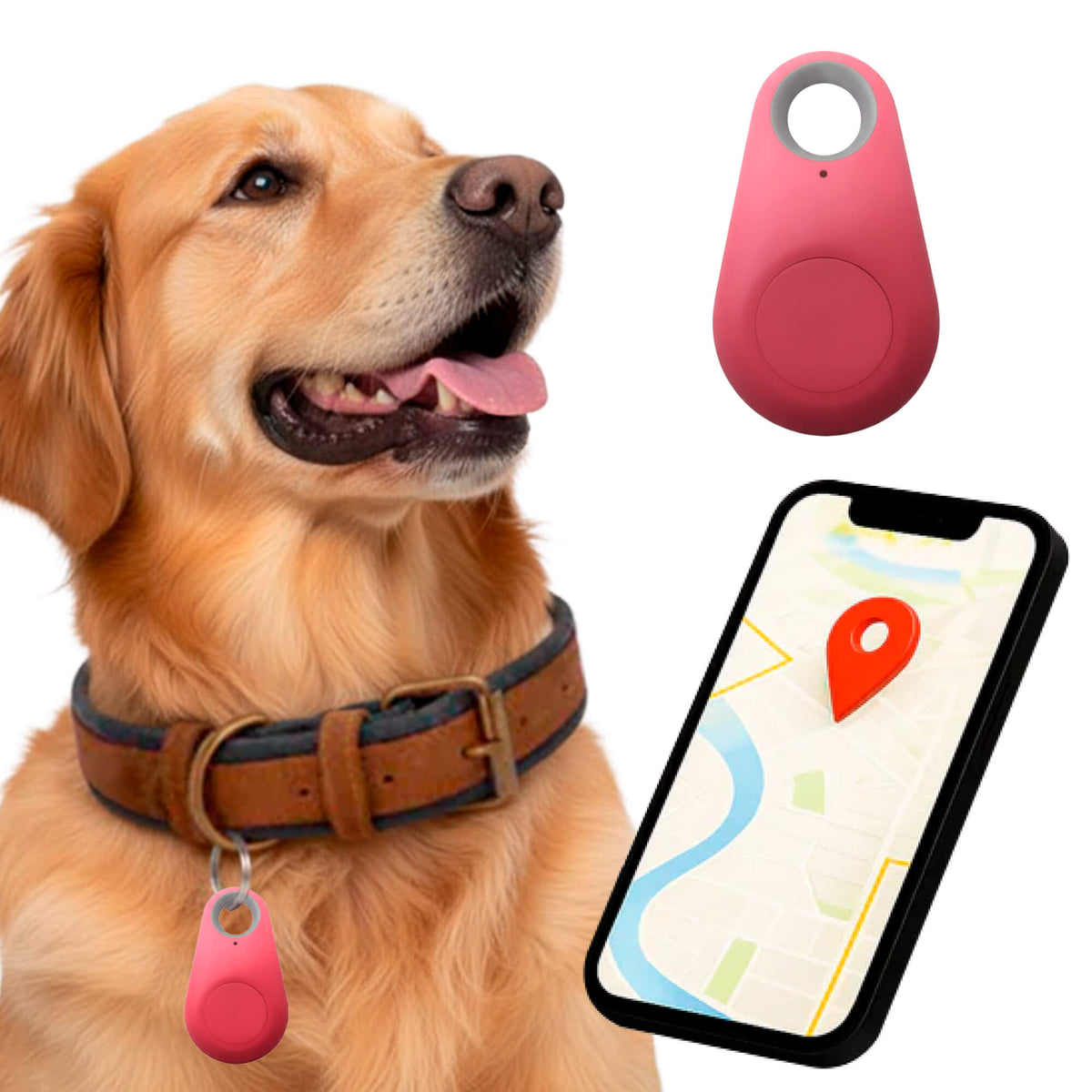 Kirra GPS Waterdichte Hondentracker Met Live Locatie-updates