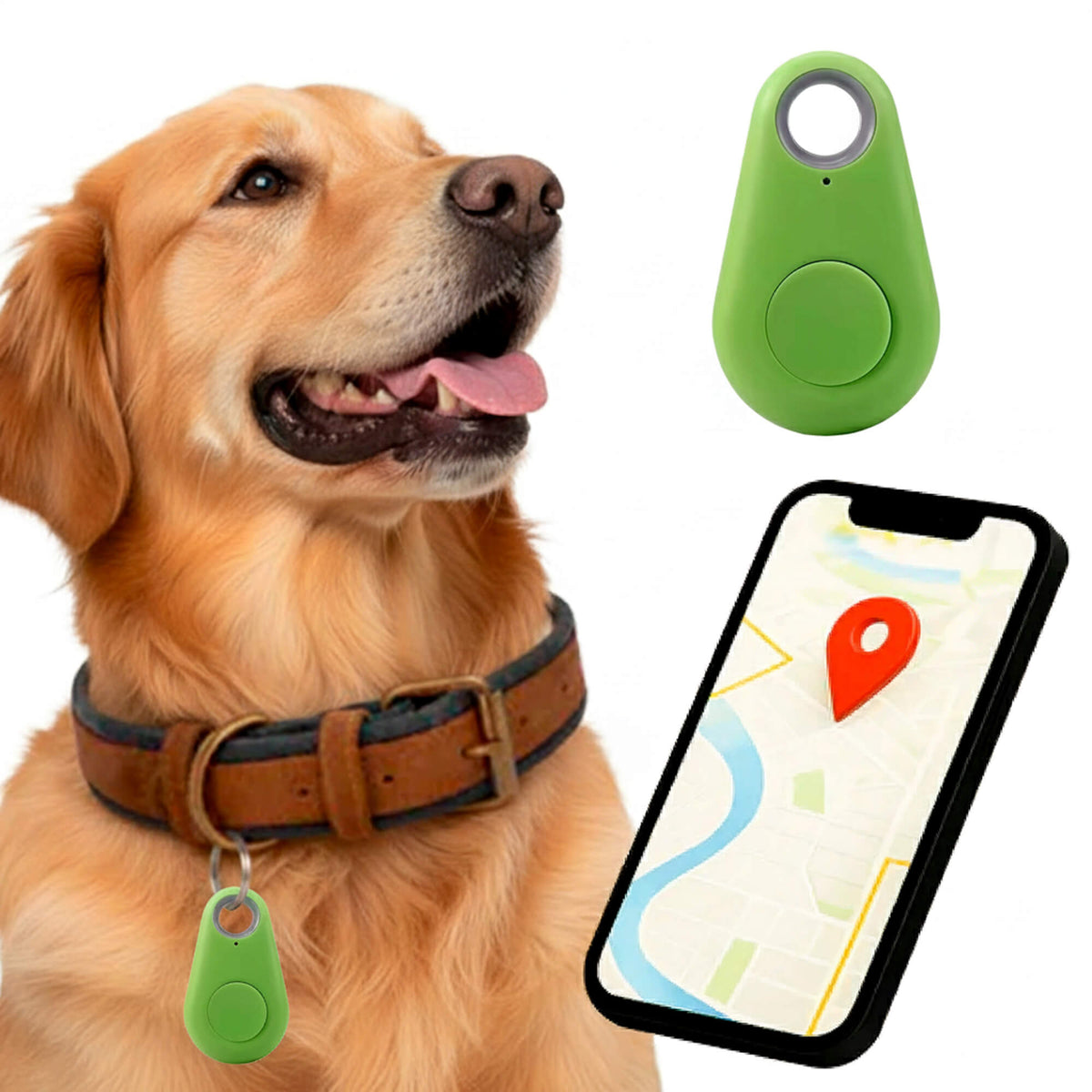 Kirra GPS Waterdichte Hondentracker Met Live Locatie-updates