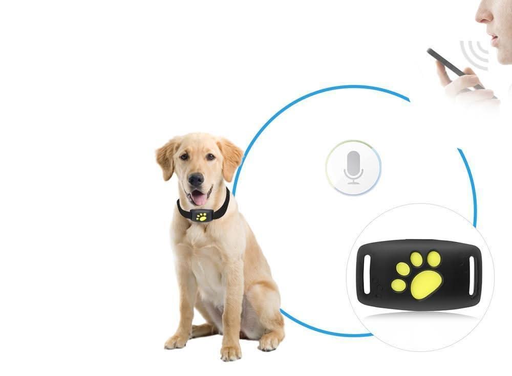 Kat GPS Tracker – Echt-time locatie zonder abonnement