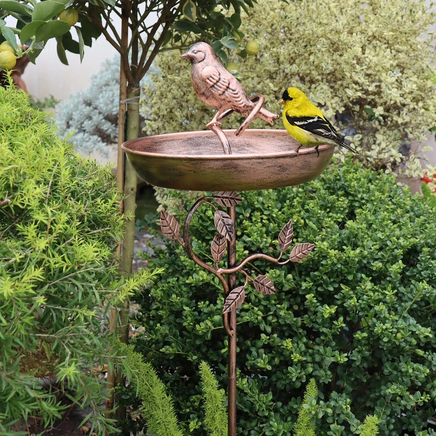 Vogelbad | Decoratieve Schaal | Stevige Piek | GardenShine