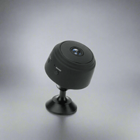 Miniatuurcamera – 1080p Mini Camera met Nachtzicht & App-besturing
