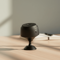 MINICAM 1080P – Compacte beveiligingscamera met nachtzicht & app-besturing