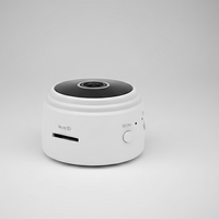 MINICAM 1080P – Compacte beveiligingscamera met nachtzicht & app-besturing