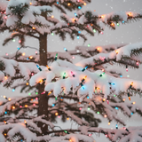 Multi-kleurige Mini Kerstlichtjes 100-lampen | Binnen & Buiten | Feestelijke Decoratie
