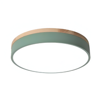 Nordic LED Ronde Plafondlamp van Acryl Minimalistisch