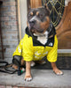 PawDry Stormproof Hondenjas | Lichtgewicht windjack voor Franse Bulldoggen, Chihuahua's en meer